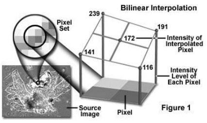 Pasted image 20231009135625.png